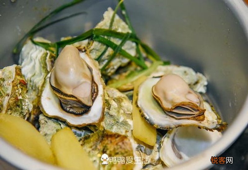 去壳冷冻生蚝怎么做 去壳冷冻生蚝怎么做才好吃