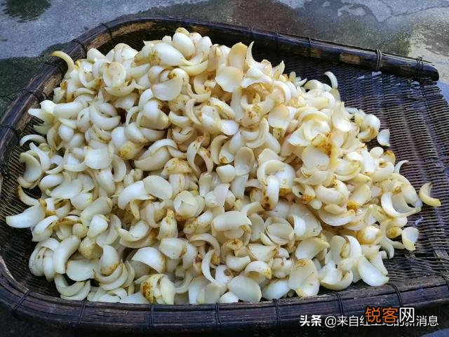 本人想到家乡镇上做粮油,调料干货批发生意,进货渠道怎么找?