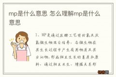 mp是什么意思 怎么理解mp是什么意思