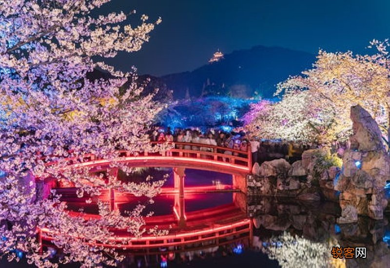 2023东湖樱花园4月6日起正式闭园 东湖樱花园开放了吗