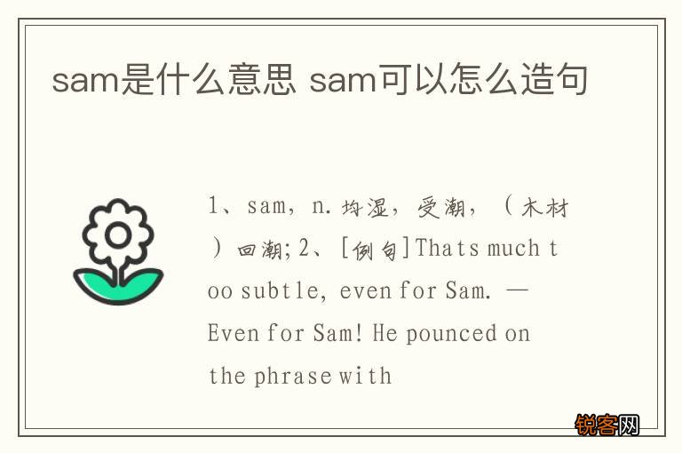 sam是什么意思 sam可以怎么造句
