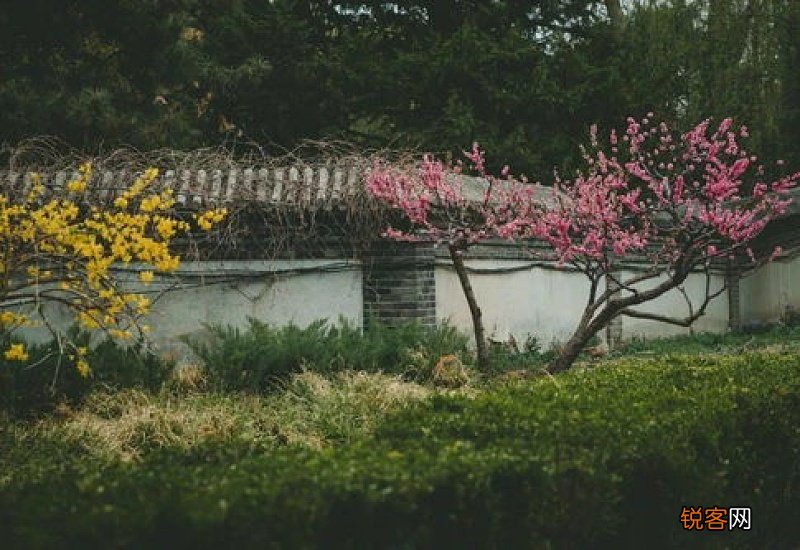 北京圆明园特色赏花路线推荐 北京圆明园赏花攻略