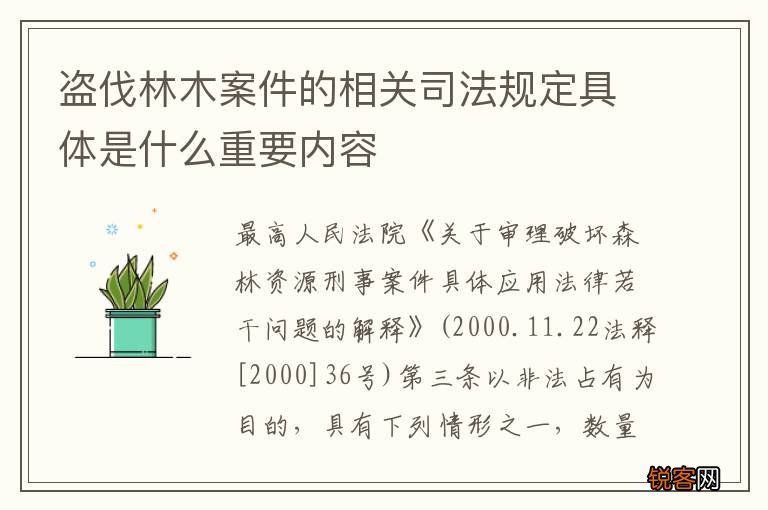 盗伐林木案件的相关司法规定具体是什么重要内容