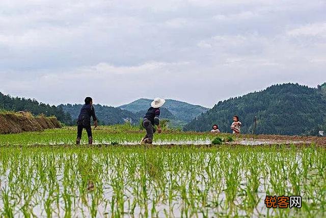 “社在春分后,穷人愁上头”,俗语农谚预测年景,啥说法?
