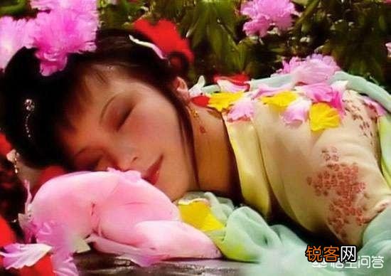 《红楼梦》怡红院里的海棠花有何寓意？