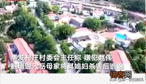 山西男子凌晨翻墙进岳母家杀妻,什么原因?
