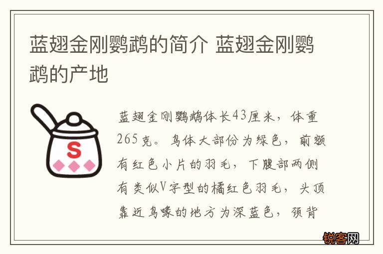 蓝翅金刚鹦鹉的简介 蓝翅金刚鹦鹉的产地