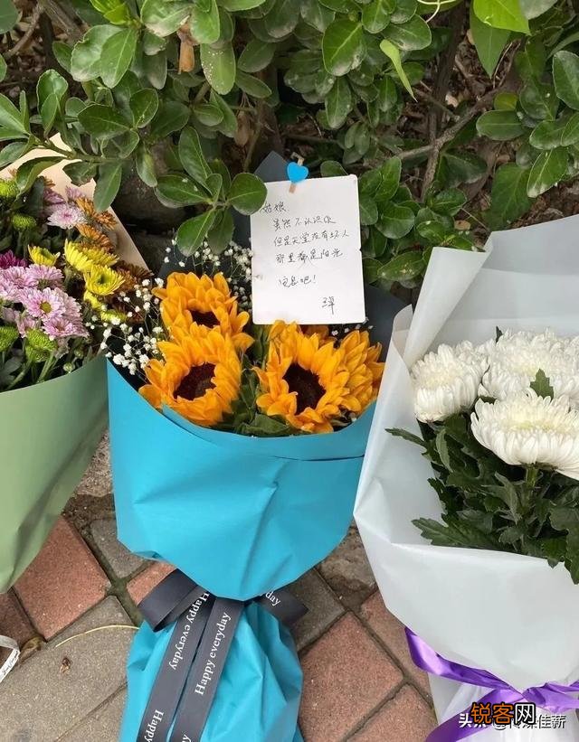 天津行凶的67岁老人刘某某,会被判处死刑吗?