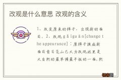改观是什么意思 改观的含义
