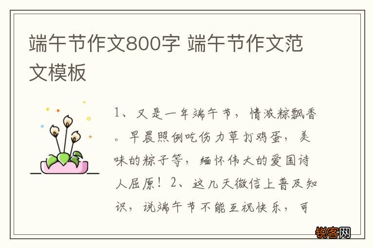 端午节作文800字 端午节作文范文模板