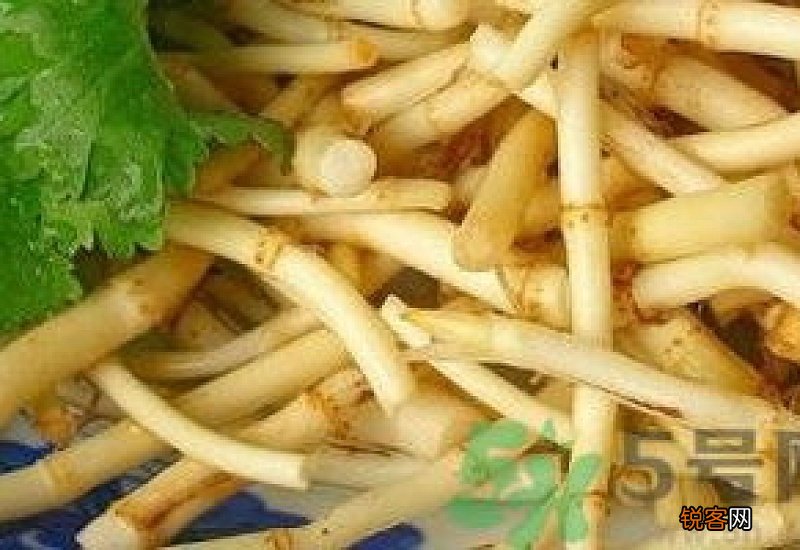 车前草和鱼腥草能煮鸡蛋吗