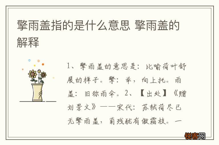 擎雨盖指的是什么意思 擎雨盖的解释