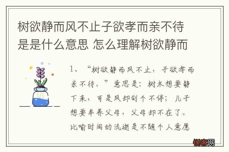 树欲静而风不止子欲孝而亲不待是是什么意思 怎么理解树欲静而风不止子欲孝而亲不待