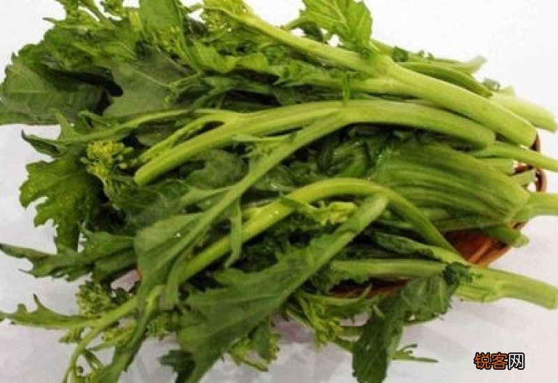 油菜苔有哪些营养价值 吃油菜苔对身体有什么好处