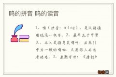 鸣的拼音 鸣的读音