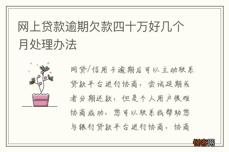 网上贷款逾期欠款四十万好几个月处理办法