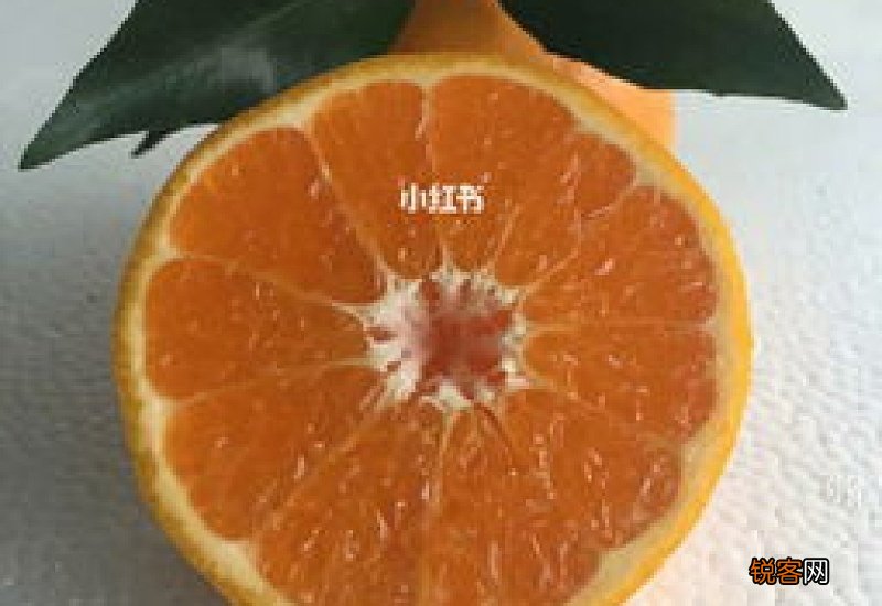 粑粑柑哪里的最好吃