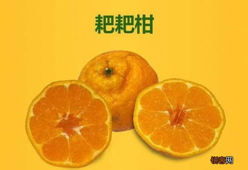 粑粑柑可以空腹吃吗