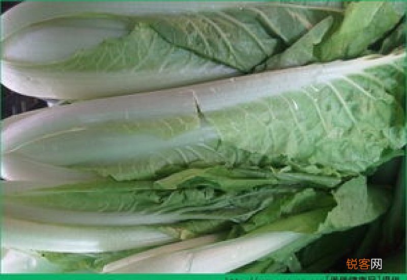 湿疹能吃白菜吗 湿疹吃白菜有什么好处