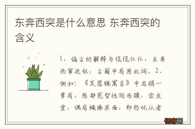 东奔西突是什么意思 东奔西突的含义