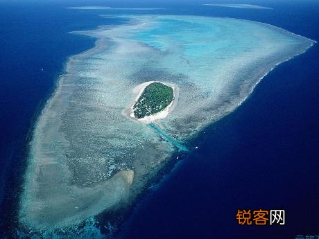 东海岸温带和亚热带森林区介绍