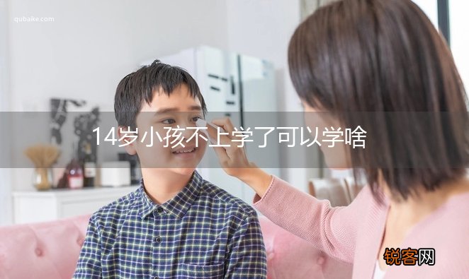 14岁小孩不上学了可以学啥