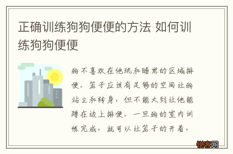正确训练狗狗便便的方法 如何训练狗狗便便