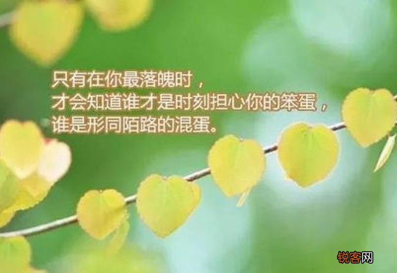早安心语2021最新暖心