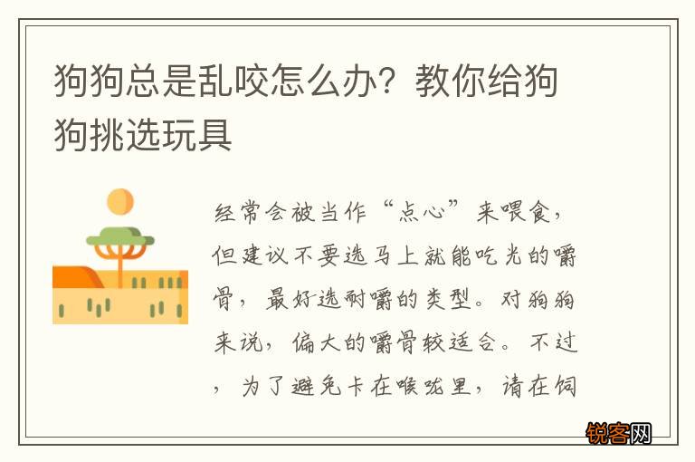 狗狗总是乱咬怎么办？教你给狗狗挑选玩具