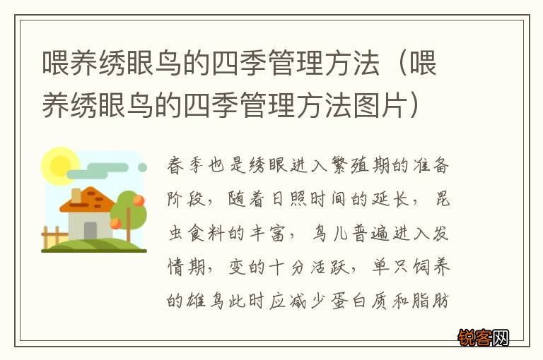 喂养绣眼鸟的四季管理方法图片 喂养绣眼鸟的四季管理方法