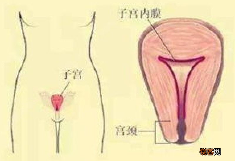 子宫内膜增厚是什么原因 子宫内膜增厚怎么治疗