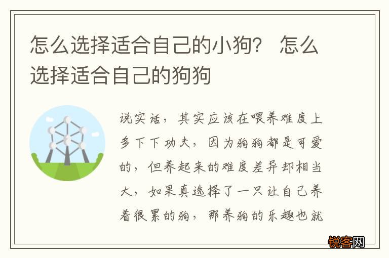 怎么选择适合自己的小狗? 怎么选择适合自己的狗狗