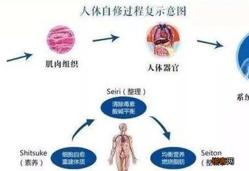 身体的抗病自愈力是否能让疾病低头 身体抗病自愈力如何唤醒