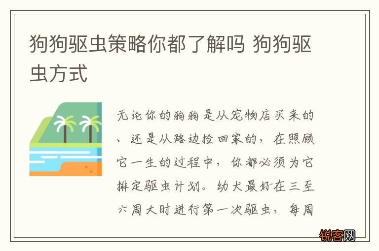 狗狗驱虫策略你都了解吗 狗狗驱虫方式