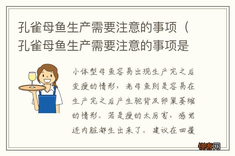 孔雀母鱼生产需要注意的事项是什么 孔雀母鱼生产需要注意的事项