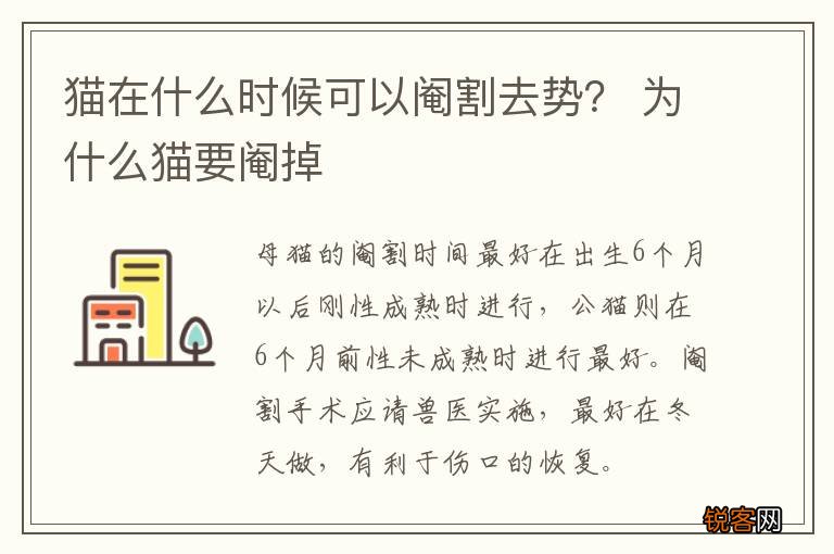 猫在什么时候可以阉割去势？ 为什么猫要阉掉