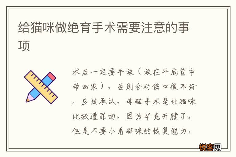 给猫咪做绝育手术需要注意的事项