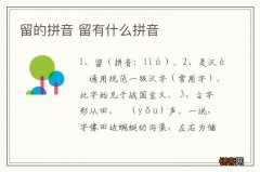 留的拼音 留有什么拼音
