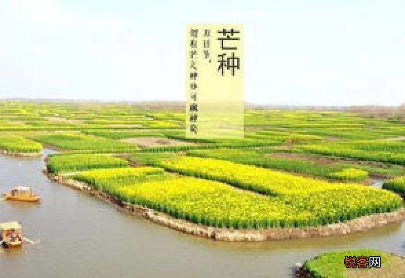 2021芒种节气农历几月几时