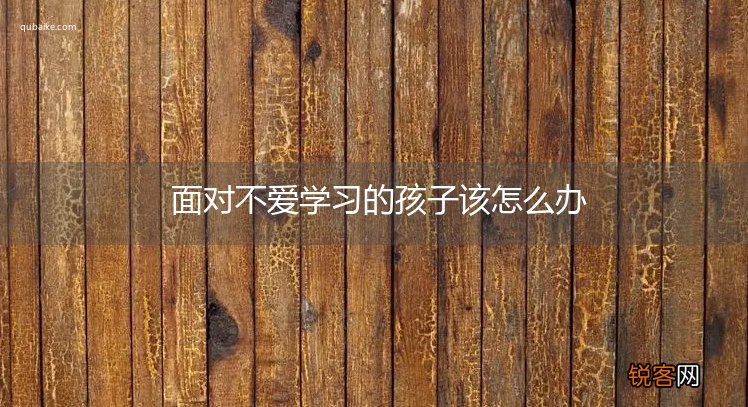 面对不爱学习的孩子该怎么办
