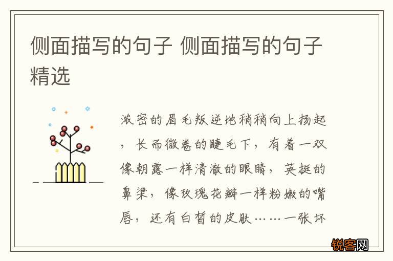 侧面描写的句子 侧面描写的句子精选
