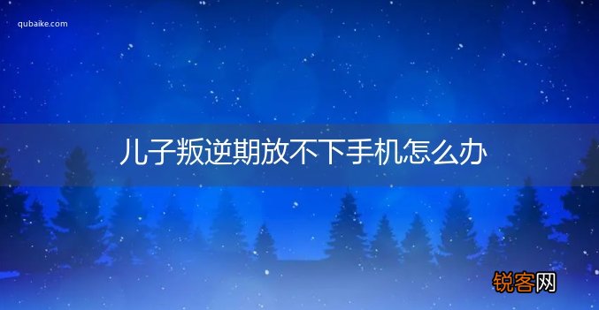 儿子叛逆期放不下手机怎么办