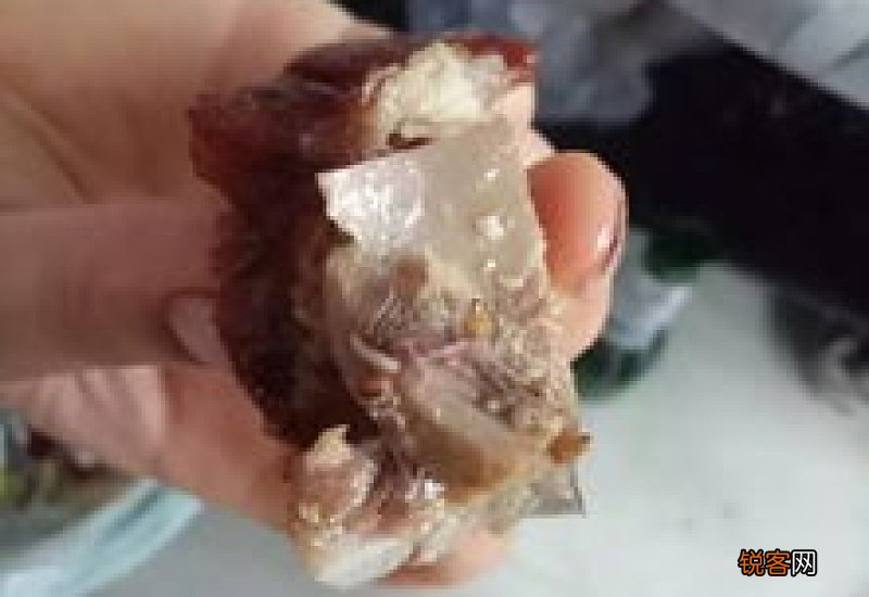 为什么腌制晒干的鸭会有蛆