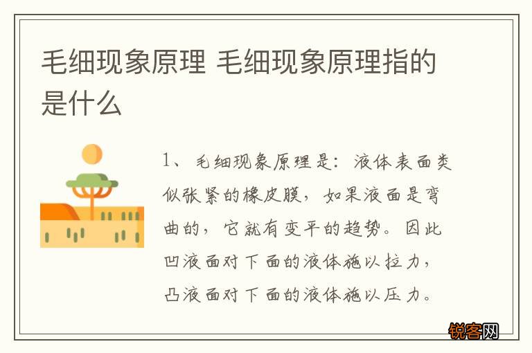 毛细现象原理 毛细现象原理指的是什么