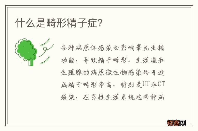 什么是畸形精子症？