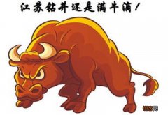 属牛的女性本命年佩戴朱砂好吗
