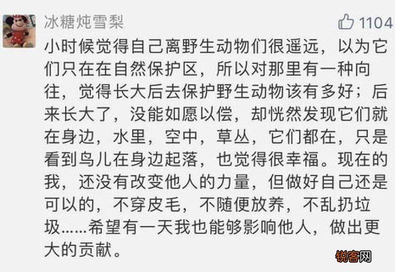 小朋友你是否有很多问号歌词是什么意思