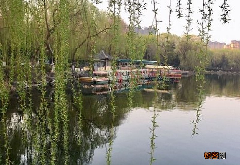 柳枝水要泡多久才可以浇花