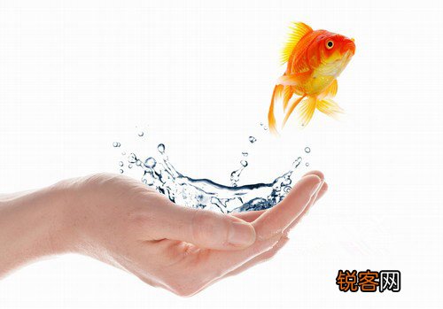 女人怎么喝水才最美丽