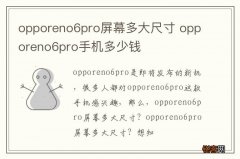 opporeno6pro屏幕多大尺寸 opporeno6pro手机多少钱